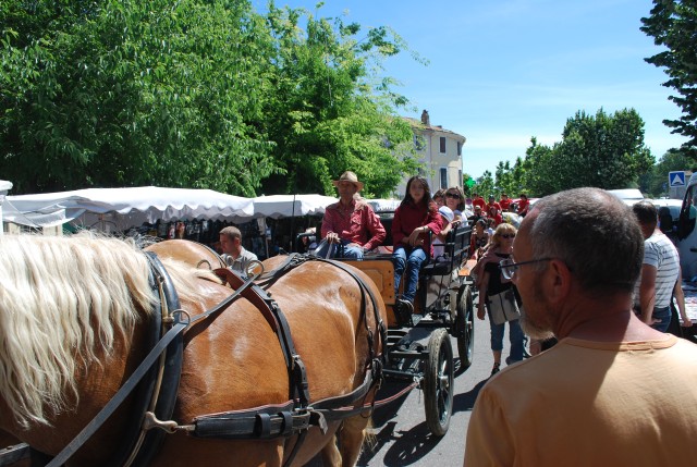 Foire chevaux Bedarrides 2017_48.jpg