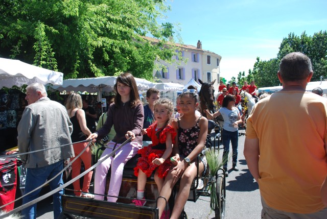 Foire chevaux Bedarrides 2017_49.jpg