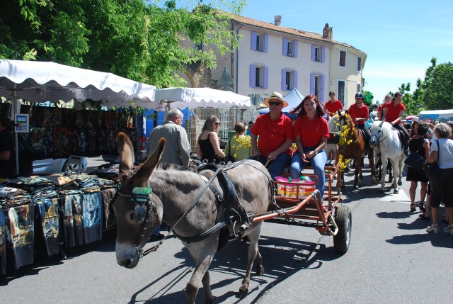 Foire chevaux Bedarrides 2017_50.jpg