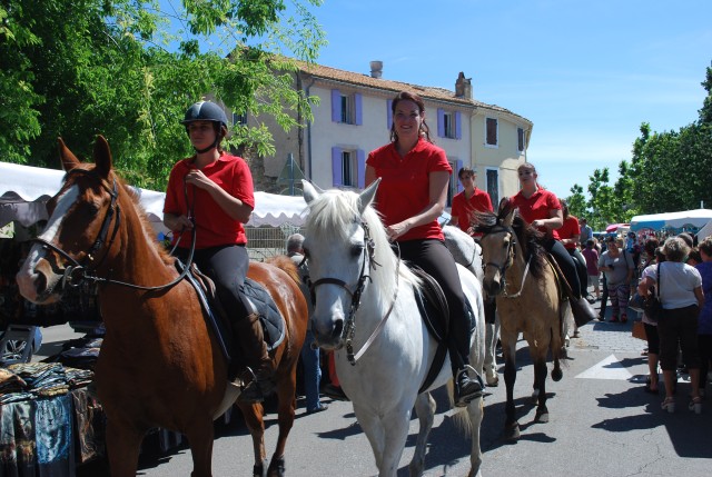 Foire chevaux Bedarrides 2017_51.jpg