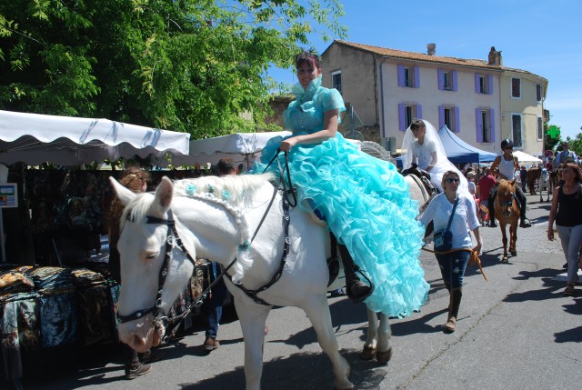 Foire chevaux Bedarrides 2017_52.jpg