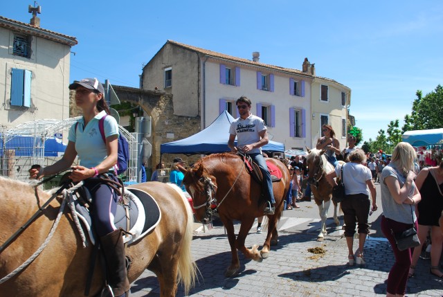 Foire chevaux Bedarrides 2017_53.jpg