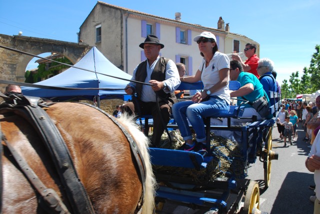 Foire chevaux Bedarrides 2017_55.jpg