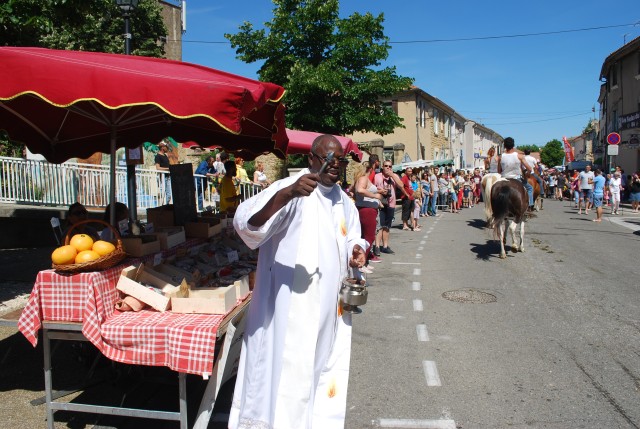 Foire chevaux Bedarrides 2017_57.jpg