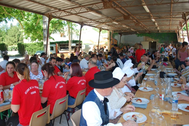 Foire chevaux Bedarrides 2017_64.jpg