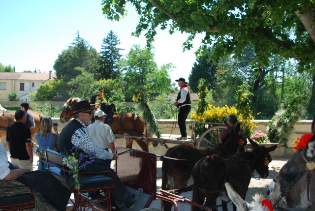 Foire chevaux Bedarrides 2017_72.jpg