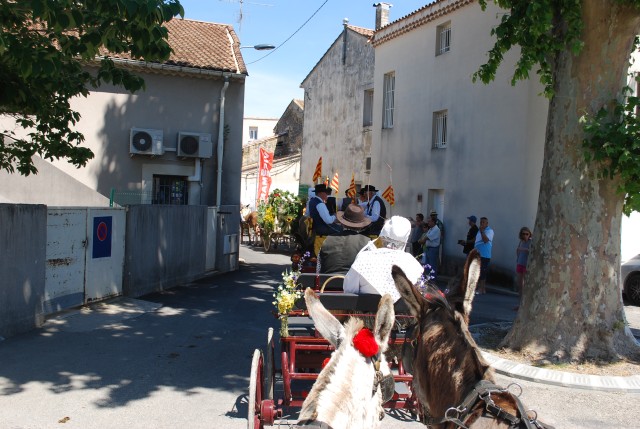 Foire chevaux Bedarrides 2017_73.jpg