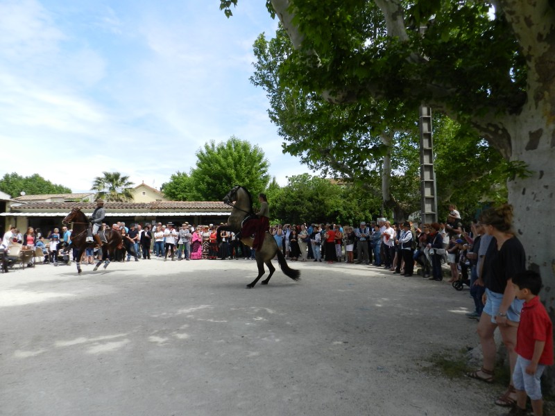 DSCN6726.jpg
