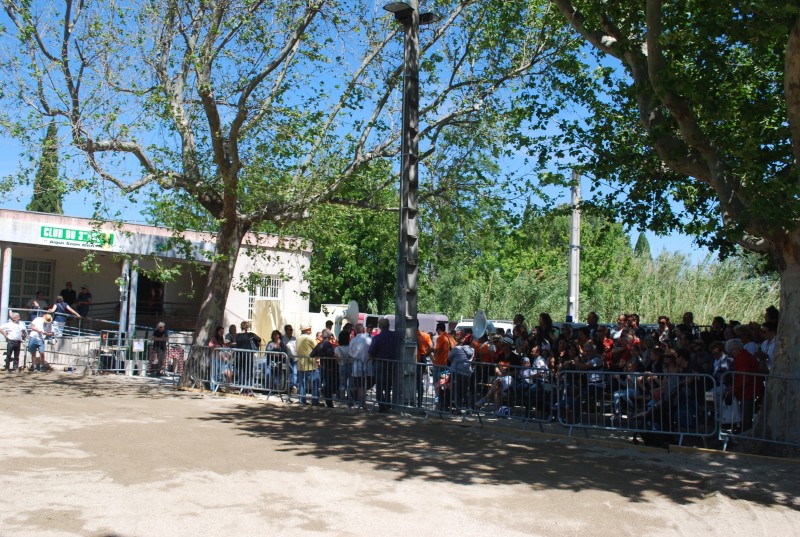 Foire_chevaux_spectacle_2019.jpg