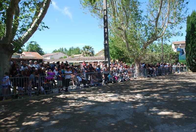 Foire_chevaux_spectacle_2019_02.jpg