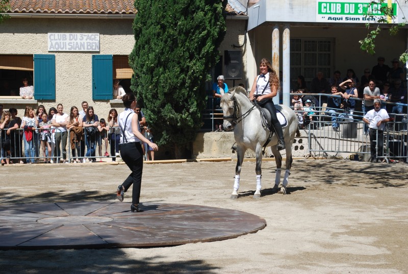 Foire_chevaux_spectacle_2019_03.jpg