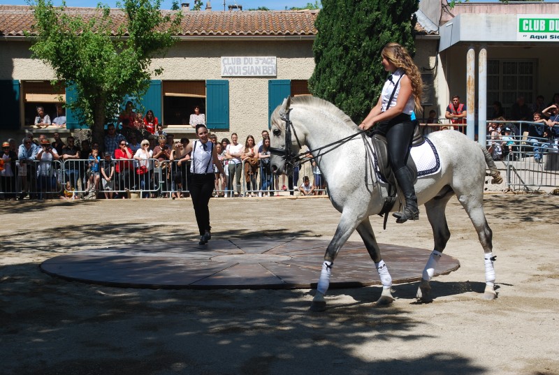 Foire_chevaux_spectacle_2019_04.jpg