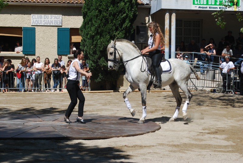 Foire_chevaux_spectacle_2019_05.jpg