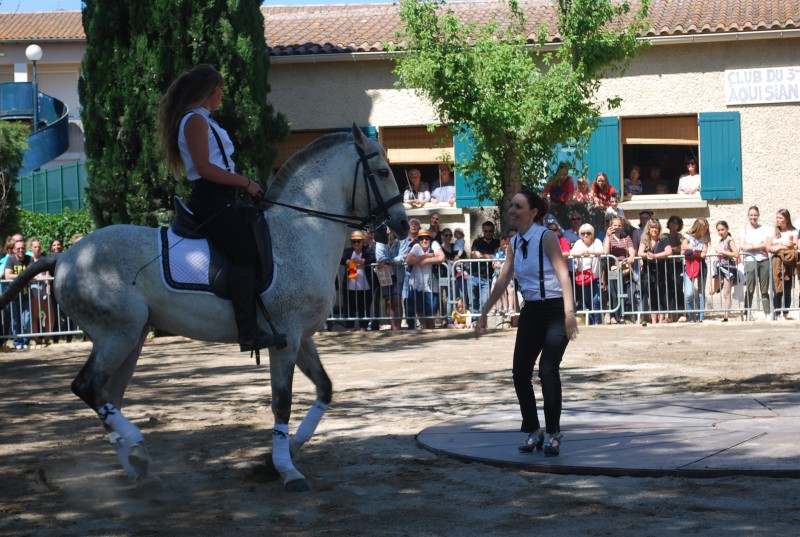 Foire_chevaux_spectacle_2019_07.jpg