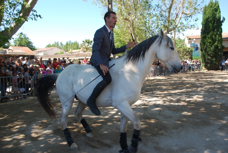 Foire_chevaux_spectacle_2019_11.jpg