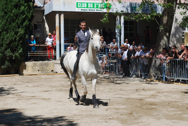 Foire_chevaux_spectacle_2019_12.jpg