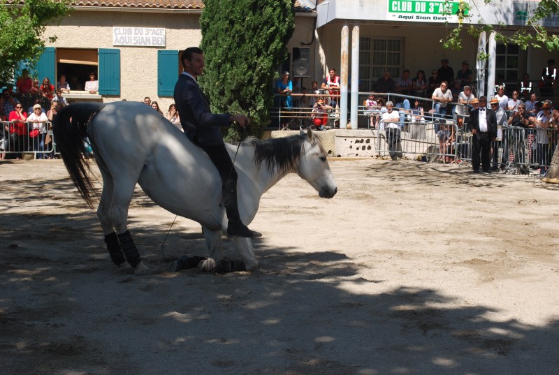 Foire_chevaux_spectacle_2019_13.jpg