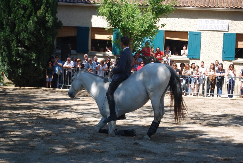 Foire_chevaux_spectacle_2019_14.jpg