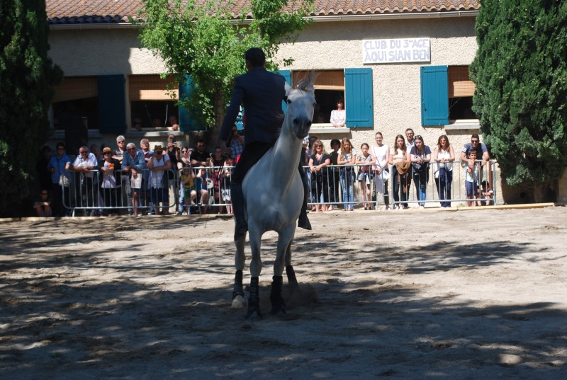Foire_chevaux_spectacle_2019_16.jpg