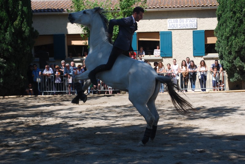 Foire_chevaux_spectacle_2019_17.jpg