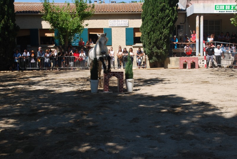 Foire_chevaux_spectacle_2019_22.jpg