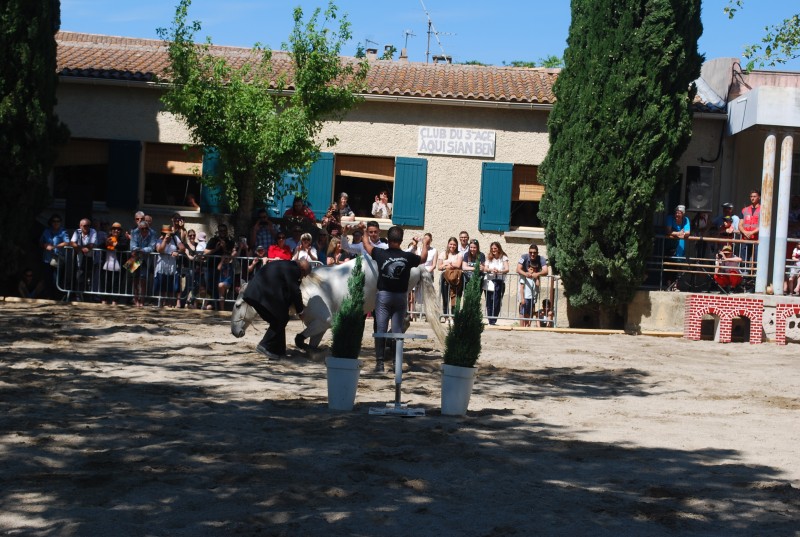 Foire_chevaux_spectacle_2019_23.jpg