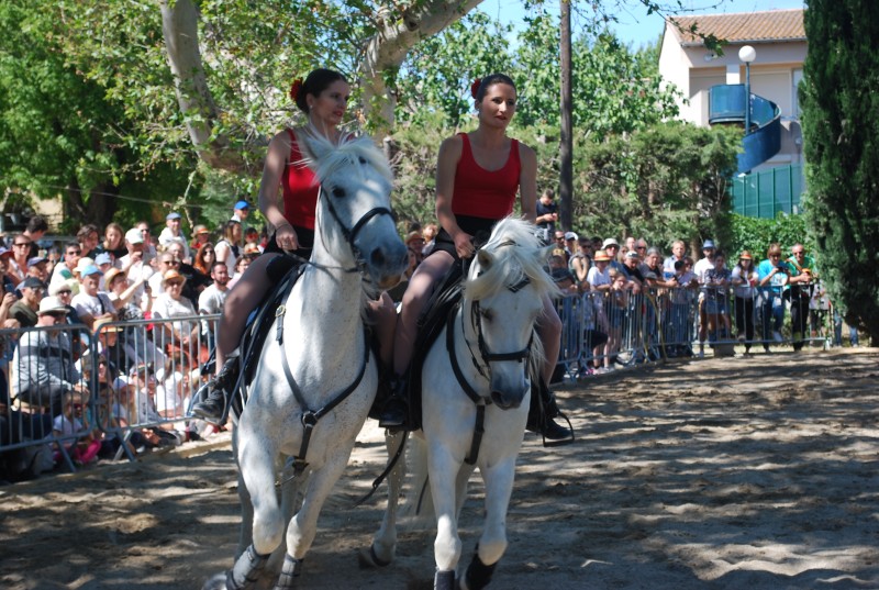 Foire_chevaux_spectacle_2019_25.jpg