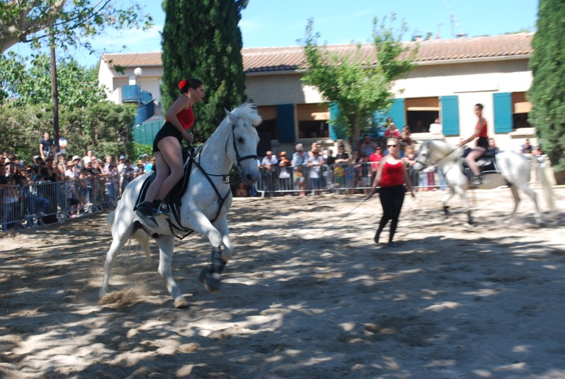 Foire_chevaux_spectacle_2019_26.jpg