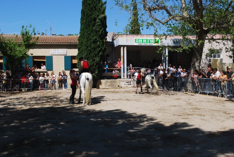 Foire_chevaux_spectacle_2019_27.jpg