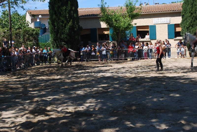 Foire_chevaux_spectacle_2019_28.jpg