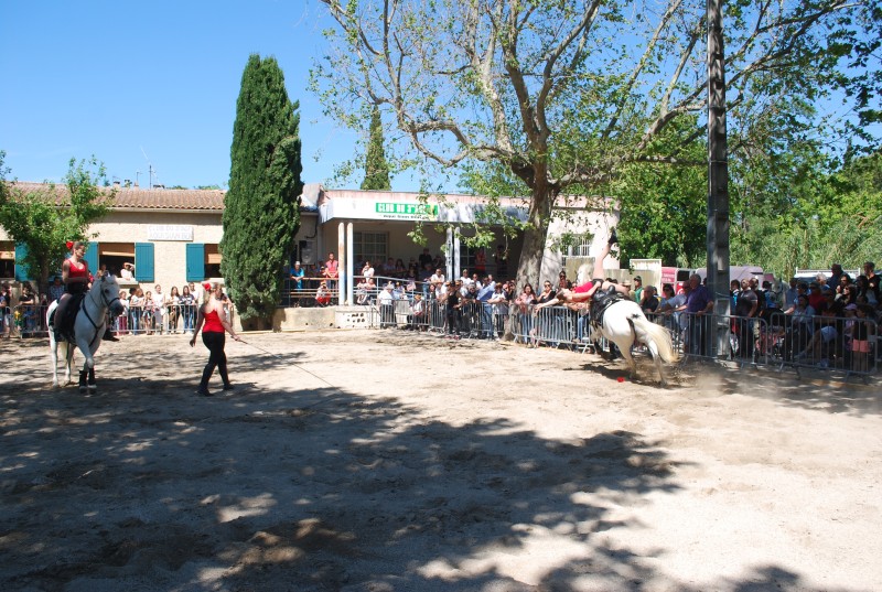 Foire_chevaux_spectacle_2019_29.jpg