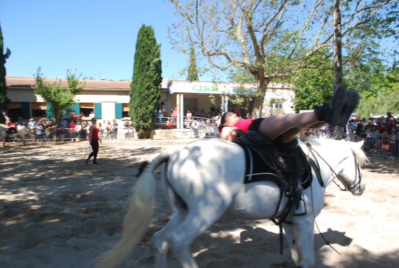 Foire_chevaux_spectacle_2019_30.jpg