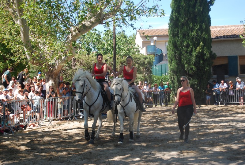 Foire_chevaux_spectacle_2019_31.jpg