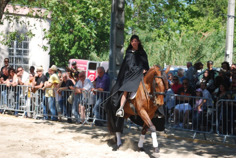 Foire_chevaux_spectacle_2019_32.jpg