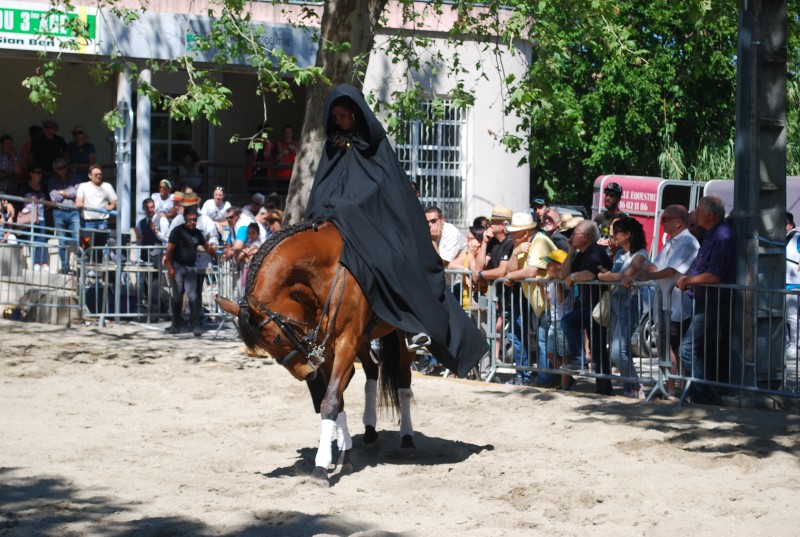 Foire_chevaux_spectacle_2019_33.jpg