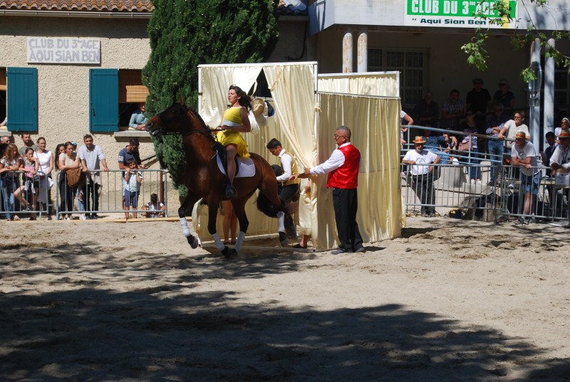 Foire_chevaux_spectacle_2019_34.jpg