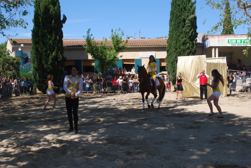 Foire_chevaux_spectacle_2019_36.jpg