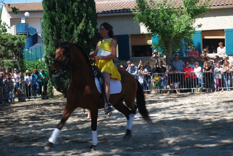 Foire_chevaux_spectacle_2019_37.jpg