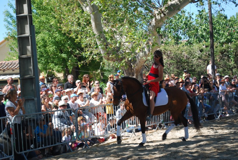 Foire_chevaux_spectacle_2019_40.jpg