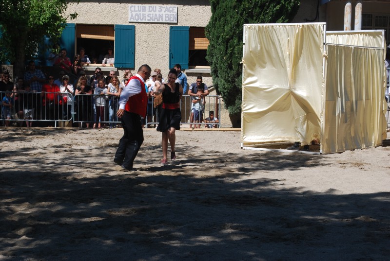 Foire_chevaux_spectacle_2019_41.jpg