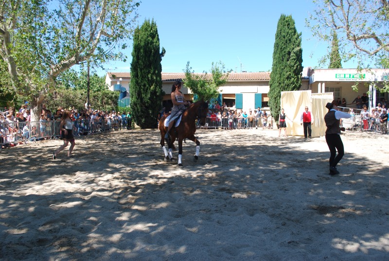 Foire_chevaux_spectacle_2019_43.jpg