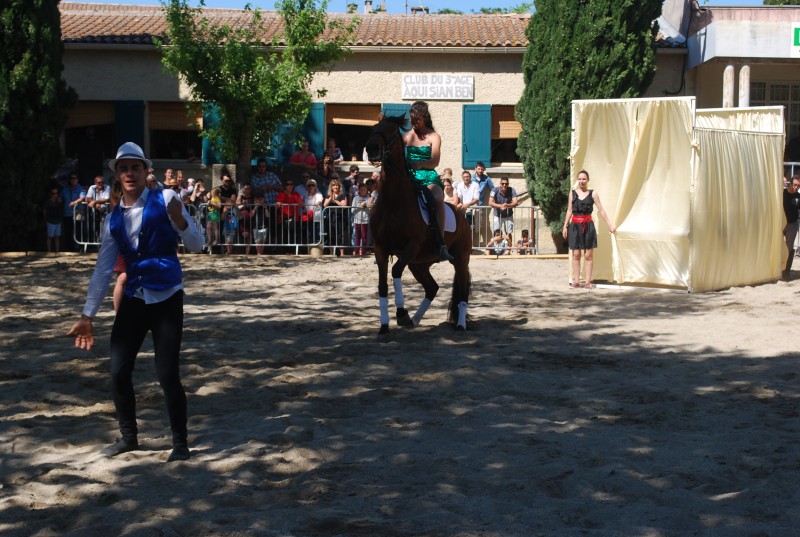 Foire_chevaux_spectacle_2019_45.jpg