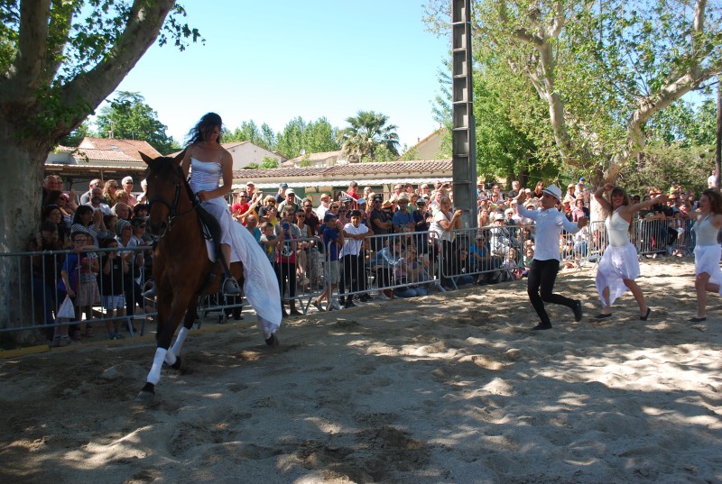 Foire_chevaux_spectacle_2019_47.jpg