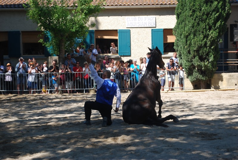 Foire_chevaux_spectacle_2019_60.jpg