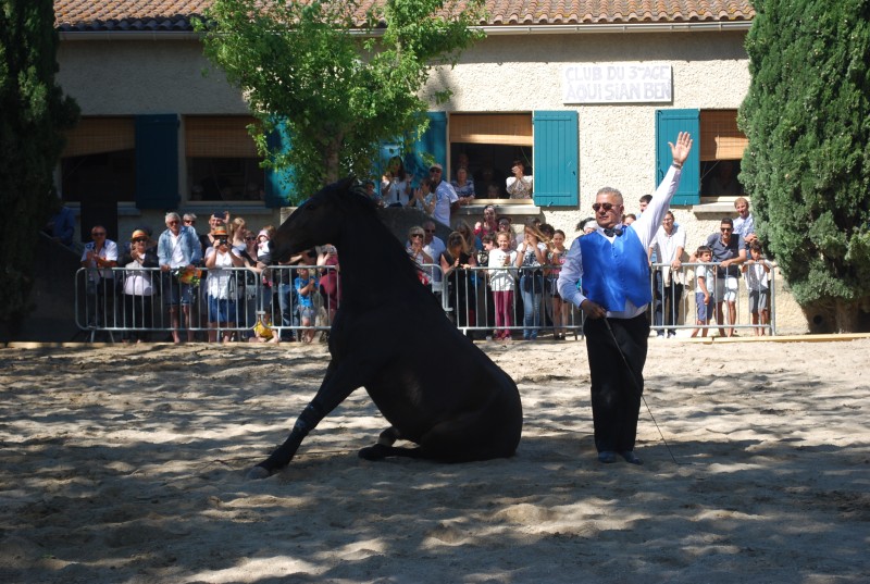 Foire_chevaux_spectacle_2019_61.jpg