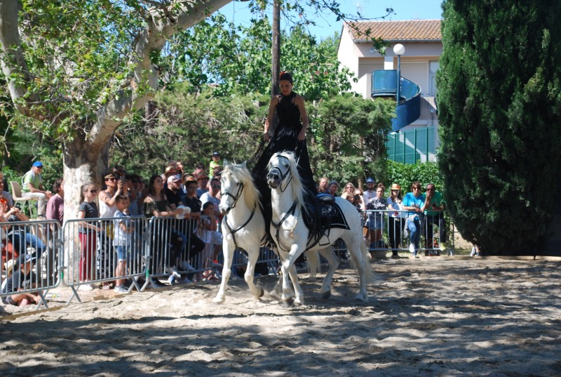 Foire_chevaux_spectacle_2019_62.jpg