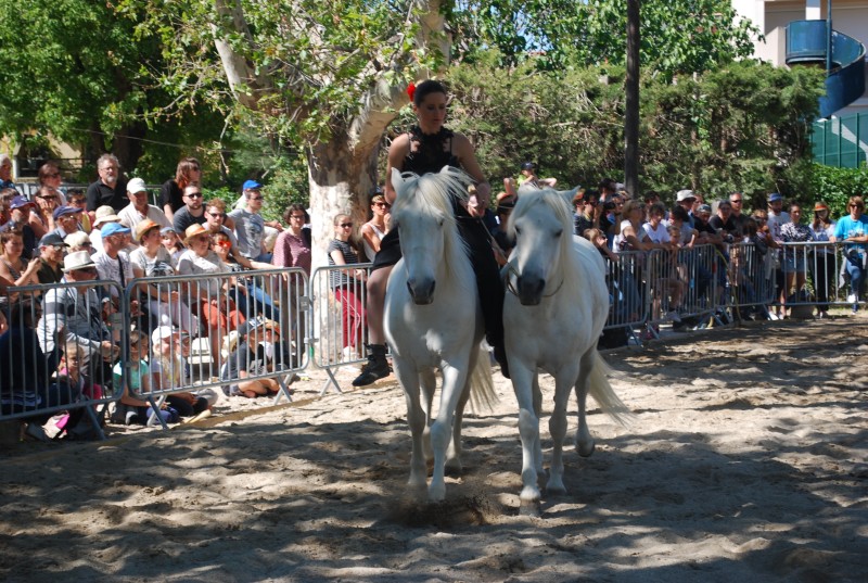 Foire_chevaux_spectacle_2019_69.jpg