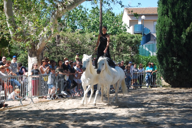 Foire_chevaux_spectacle_2019_70.jpg