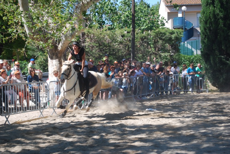 Foire_chevaux_spectacle_2019_73.jpg