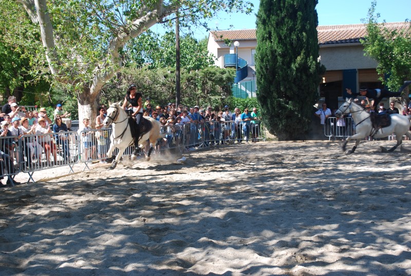 Foire_chevaux_spectacle_2019_74.jpg